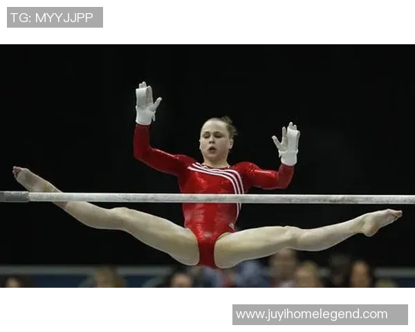 竞技体操评分体系解析与评分标准的演变及影响因素分析